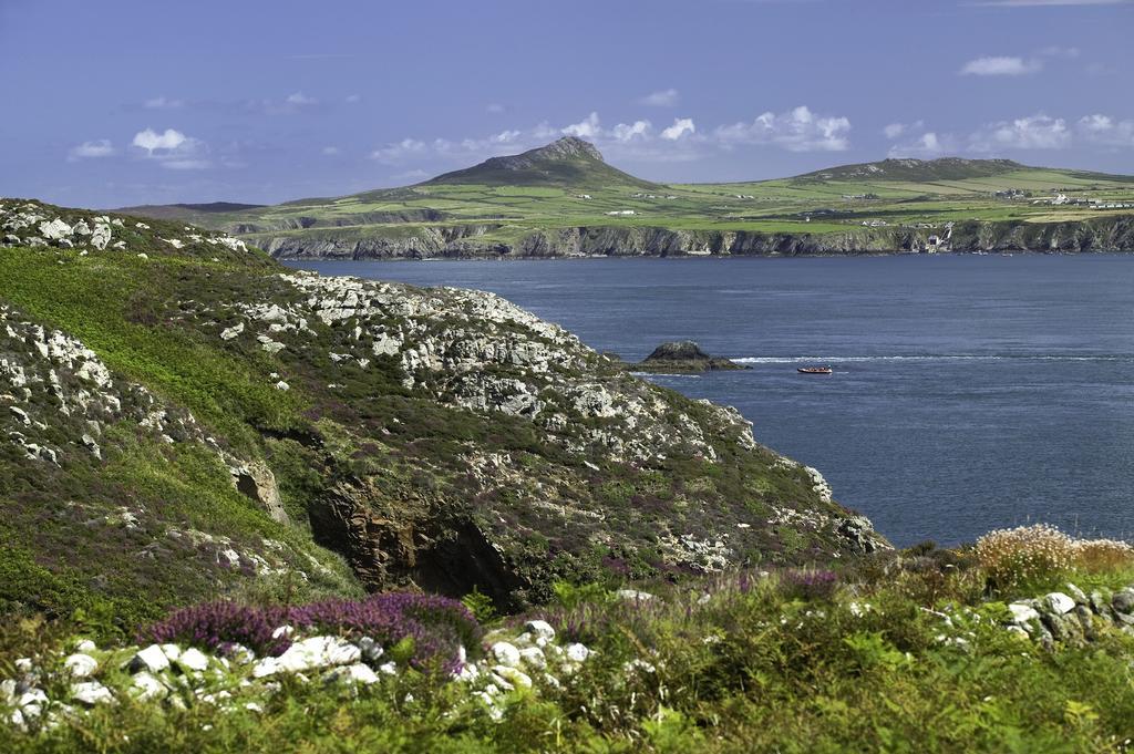 Penzion Penrhiw Priory St Davids Exteriér fotografie